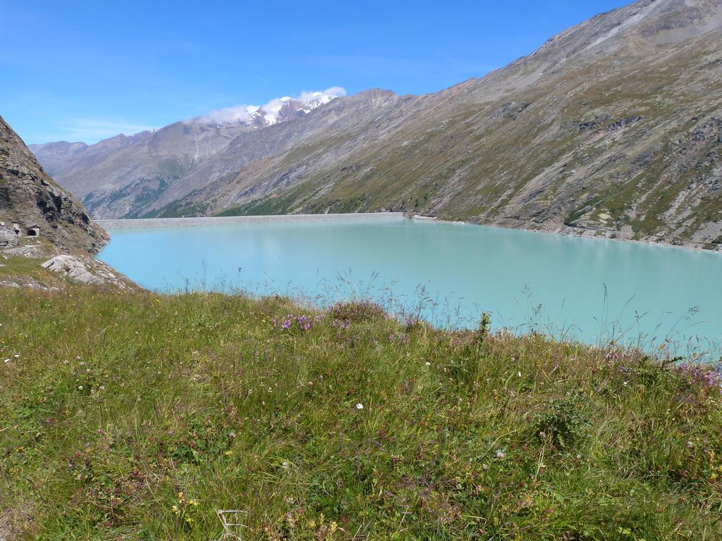 Haus Weideli, Dammstrasse 7 Villa Saas-Grund Eksteriør bilde